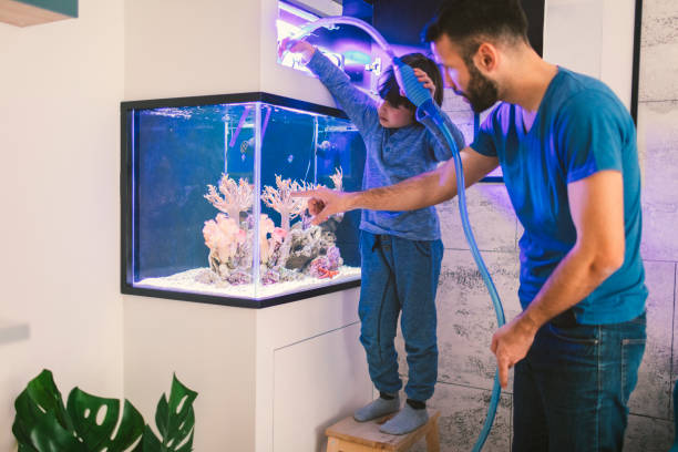 Aquariums équipés au complet : lesquels sont les meilleurs ?